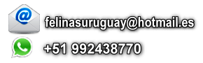comunicate con nodsotros